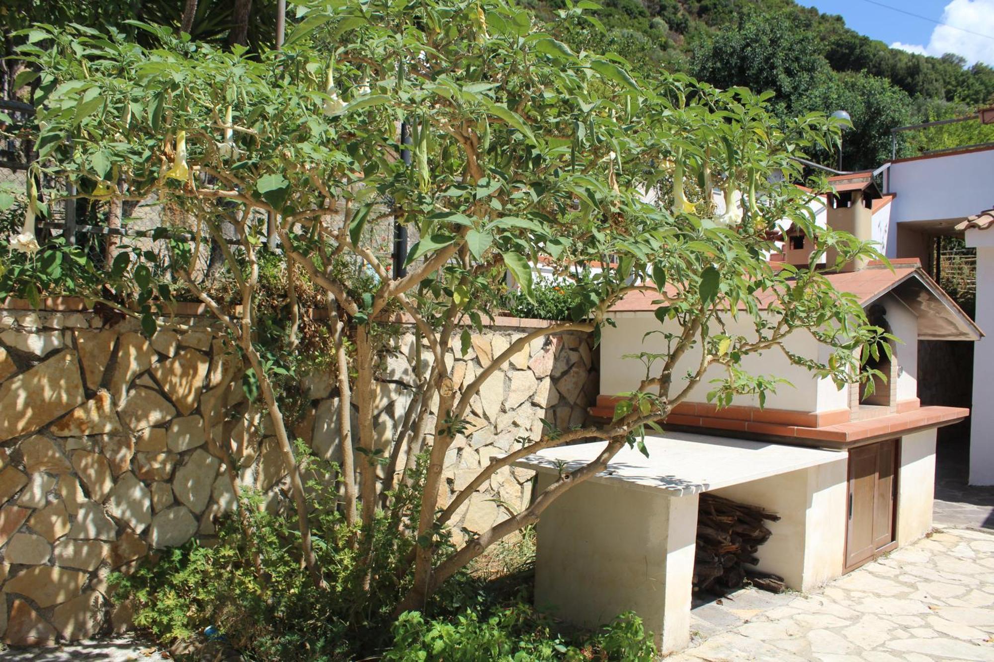 Villa Incanto B&B Caprioli Exteriér fotografie